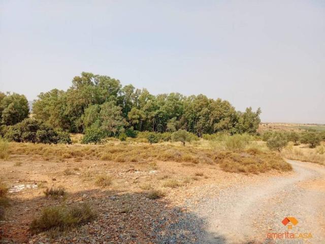 Terreno en venta en Mérida, Extremadura