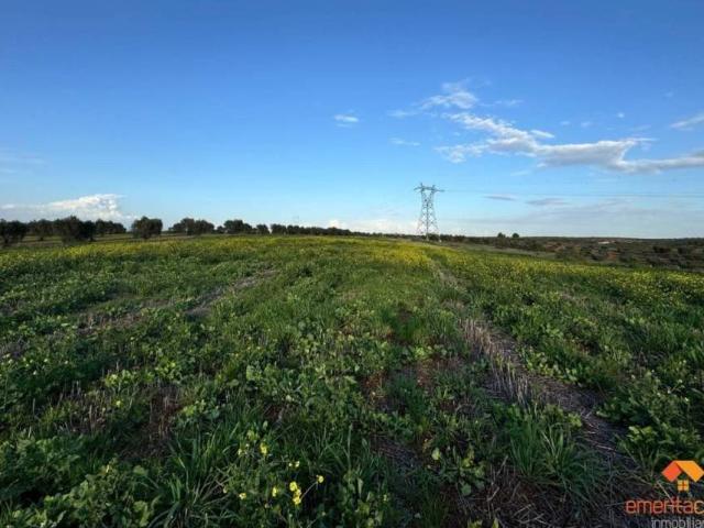 Terreno en venta en Mérida, Extremadura
