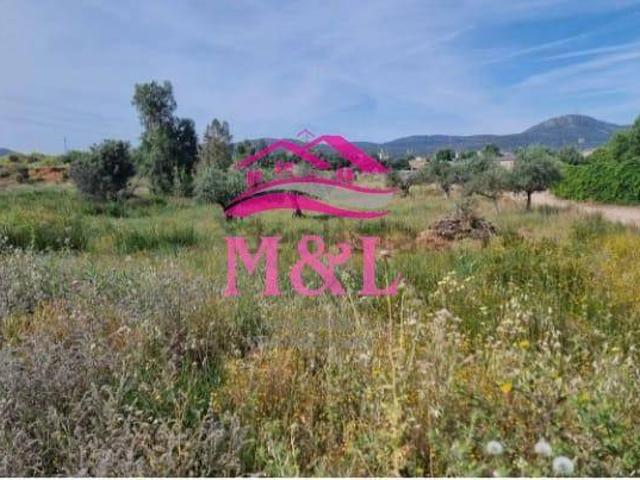 Terreno en venta en Mérida, Extremadura