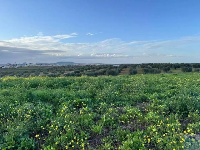 Terreno en venta en Mérida, Extremadura