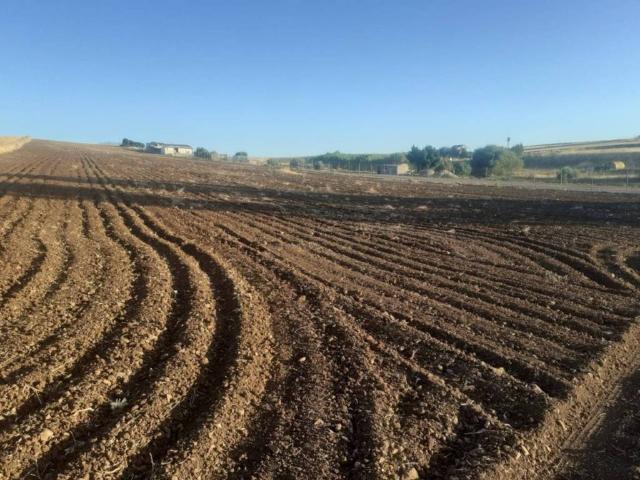 Terreno en venta en Mérida, Extremadura