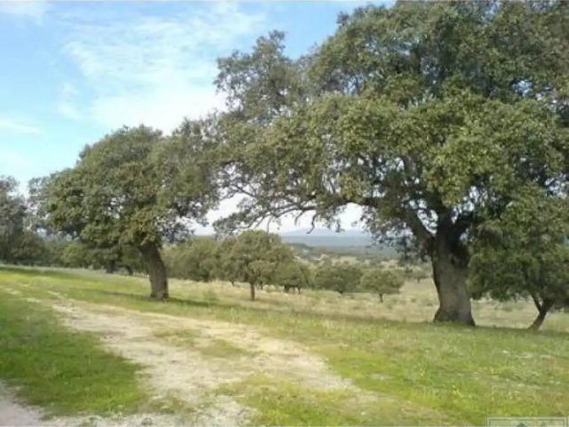 Terreno en venta en Mérida, Extremadura