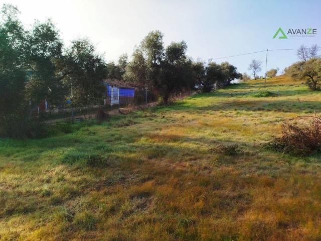 Terreno en venta en San Andrés, Mérida