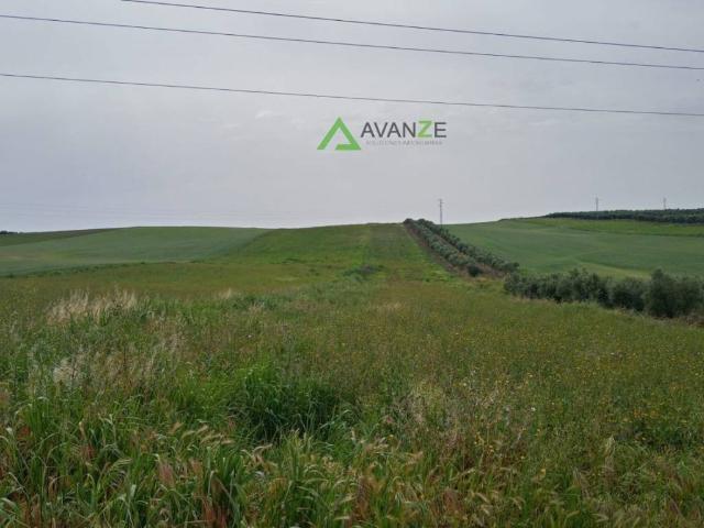 Terreno en venta en Valverde De Mérida, Extremadura