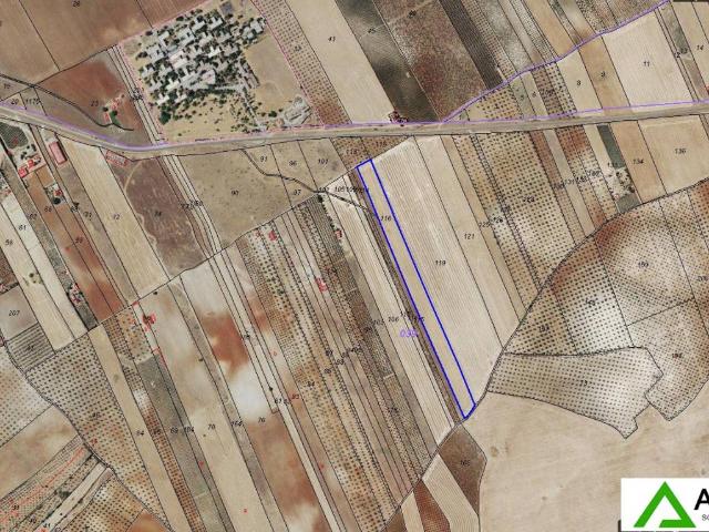 Terreno en venta en Valverde De Mérida, Extremadura