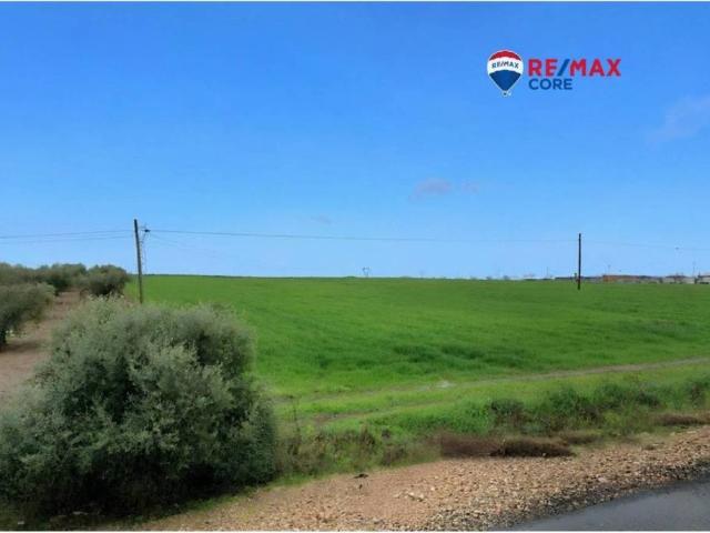 Terreno en venta en Mérida, Badajoz