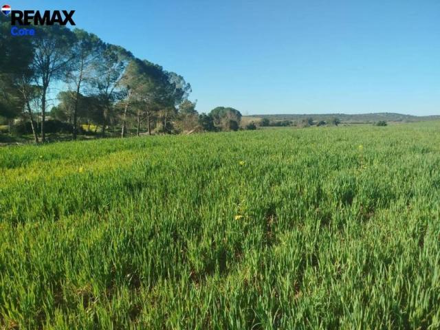 Terreno en venta en Mérida, Badajoz