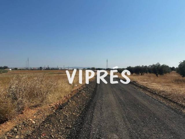 Terreno en venta en Mérida, Extremadura
