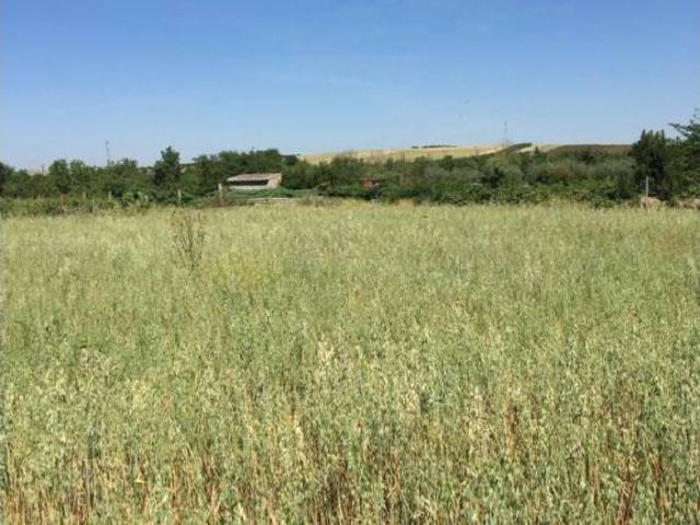 Terreno en venta en Mérida, Badajoz