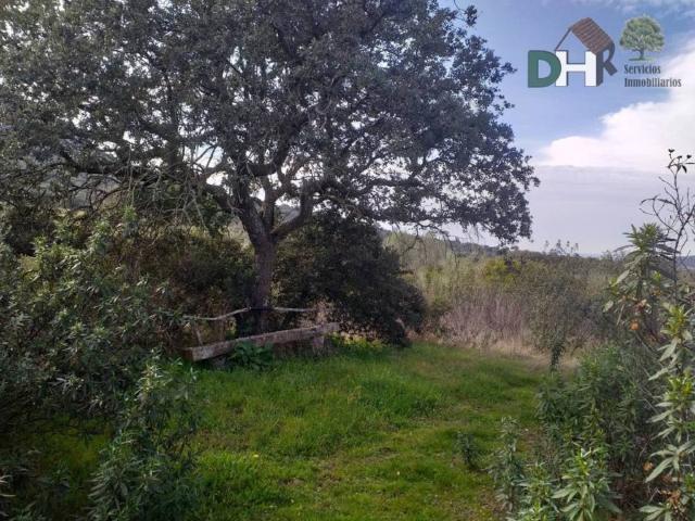 Terreno en venta en Mérida, Extremadura