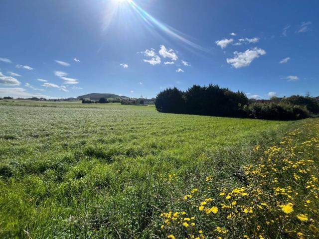 Terreno en venta en San Miguel de Meruelo, Meruelo