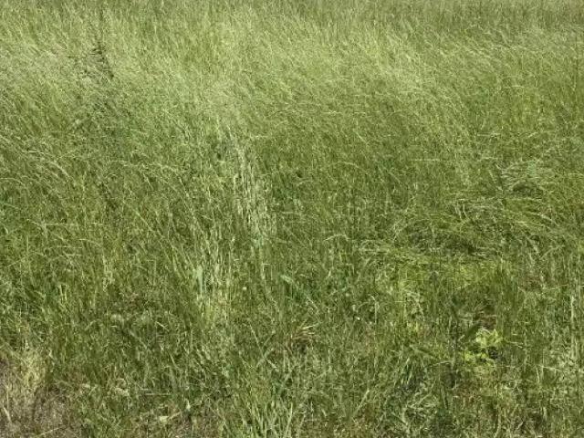 Terreno en venta en Meruelo, Cantabria