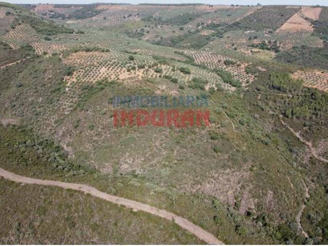 Terreno en venta en Mesas De Ibor, Extremadura