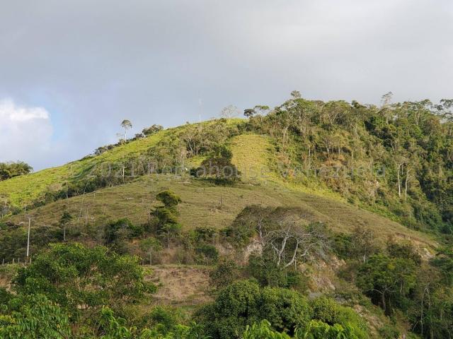 Propiedad en venta en Antonio Pinto Salinas, Mérida