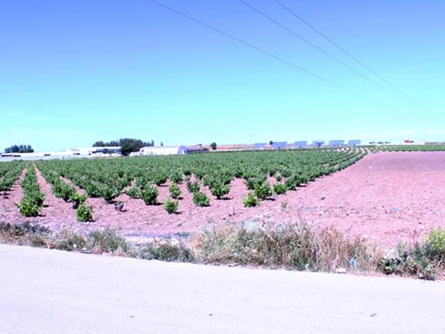 Terreno en venta en Las Mesas, Castilla-La Mancha