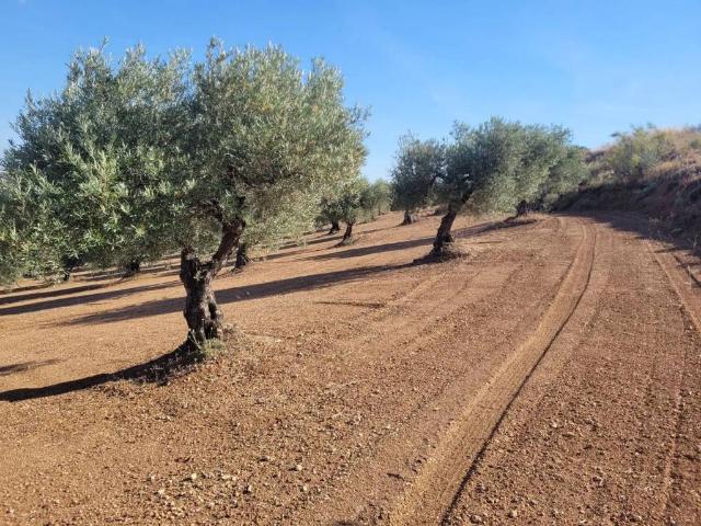 Terreno en venta en Mesegar De Tajo