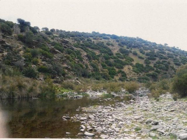 Terreno en venta en Mestanza, Castilla-La Mancha