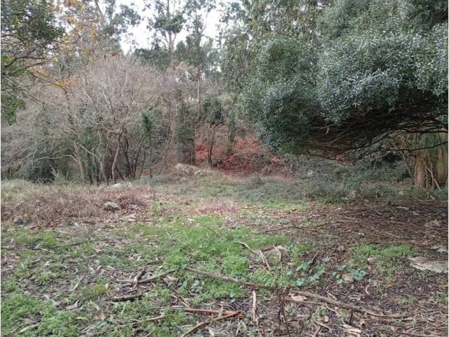 Terreno en venta en Miengo, Cantabria