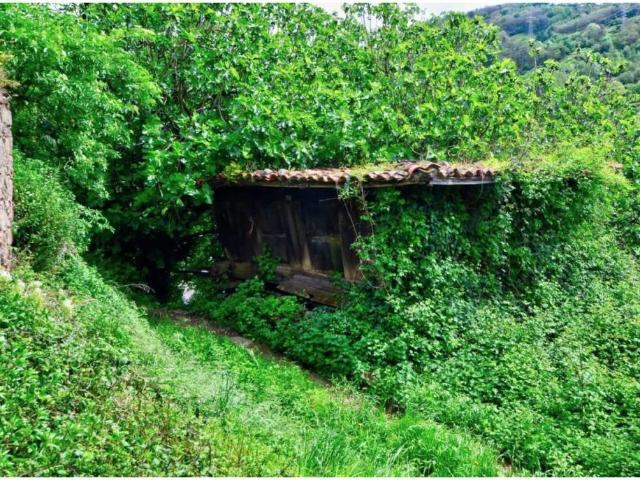 Terreno en venta en Santa Marina, Mieres