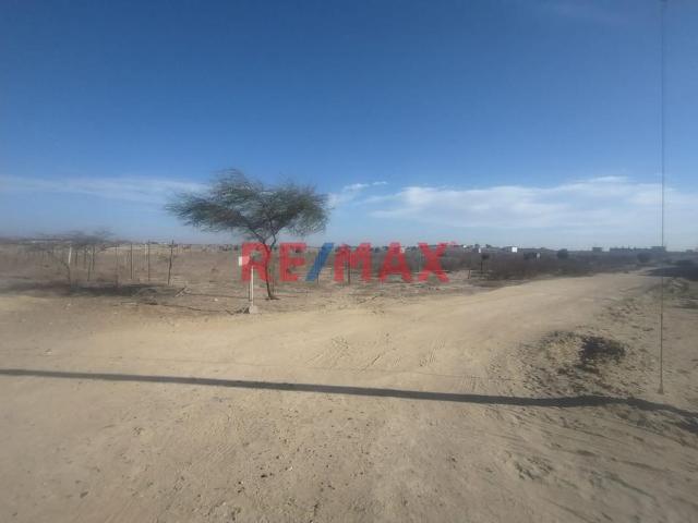 Terreno venta en Sullana