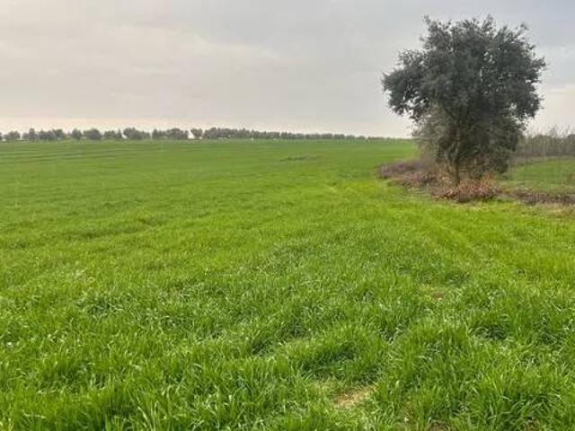Terreno en venta en Peralvillo, Miguelturra