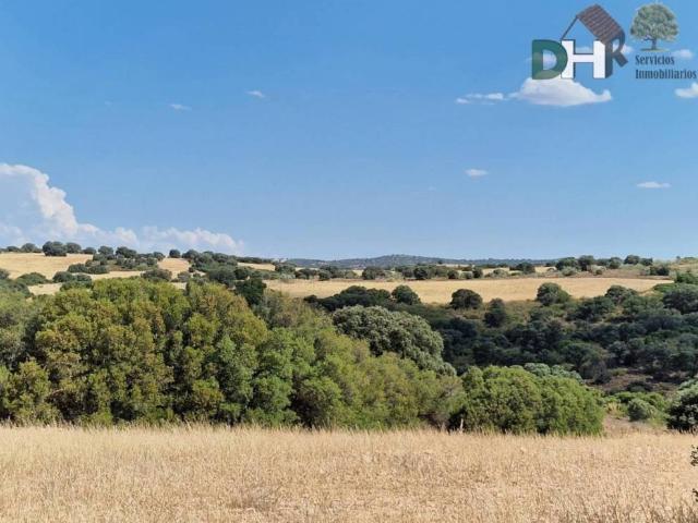 Terreno en venta en Miguelturra, Castilla-La Mancha