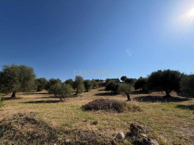 Terreno en venta en Entrerríos, Costa del Sol Occidental