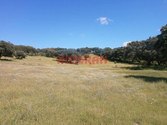 Terreno en venta en Millanes, Extremadura