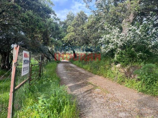 Terreno en venta en Millanes, Extremadura