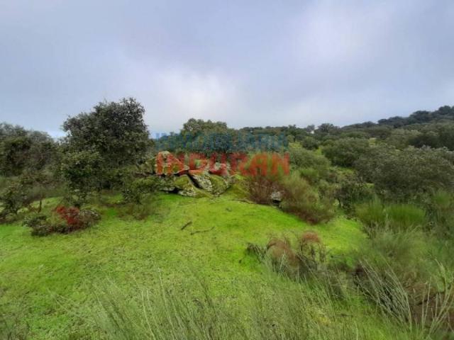 Terreno en venta en Millanes, Extremadura