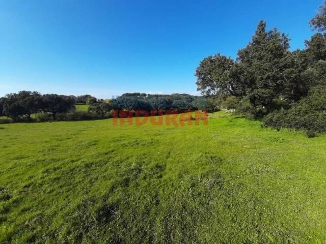 Terreno en venta en Millanes, Extremadura