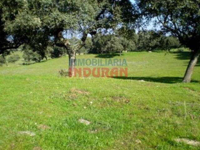 Terreno en venta en Millanes, Extremadura