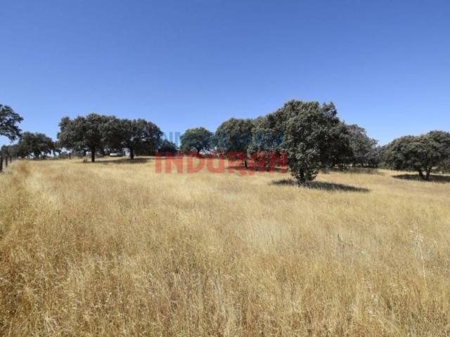 Terreno en venta en Millanes, Extremadura