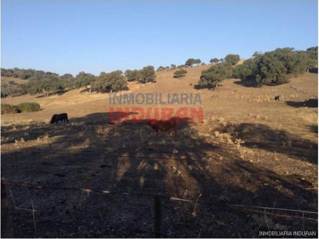 Terreno en venta en Millanes, Extremadura