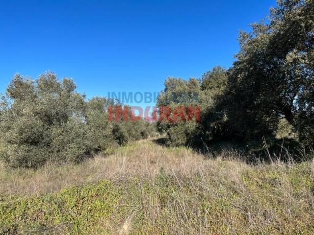 Terreno en venta en Millanes, Extremadura