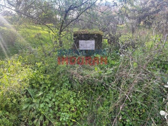 Terreno en venta en Millanes, Extremadura