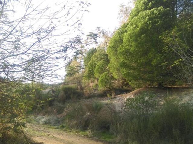 Terreno en venta en Minas De Riotinto