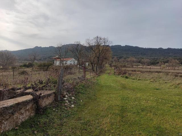 Terreno en venta en Mirabel, Extremadura