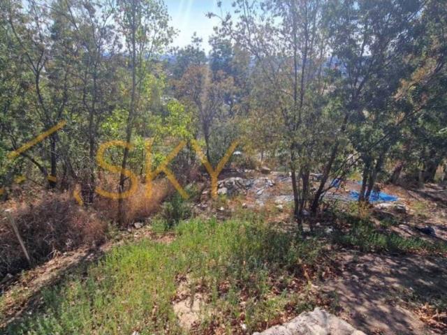 Terreno en venta en Miraflores De La Sierra, Madrid