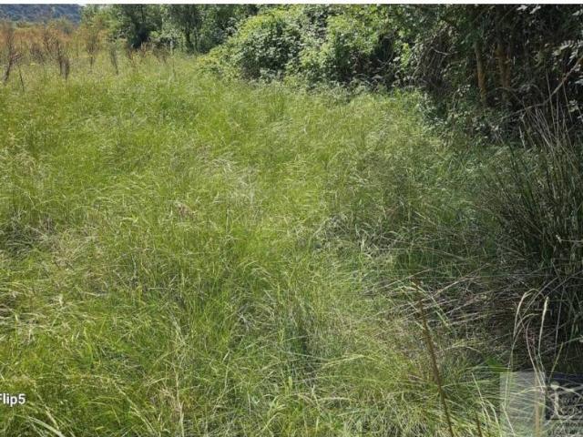 Terreno en venta en Miraflores De La Sierra, Madrid