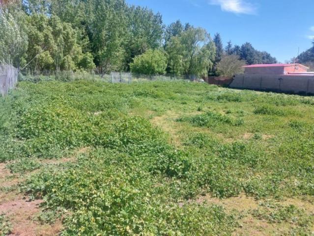 Terreno en venta en Miranda De Azán, Castilla y León