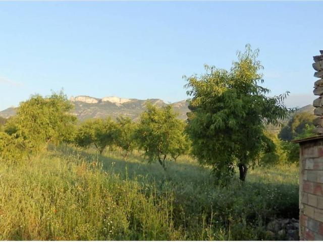 Terreno en venta en Ribera d'Ebre, Catalunya