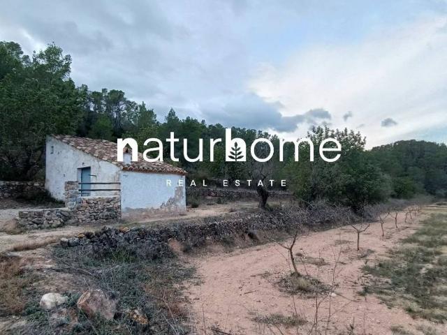 Terreno en venta en Miravet