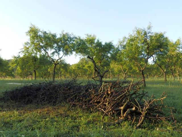 Terreno en venta en Miravet