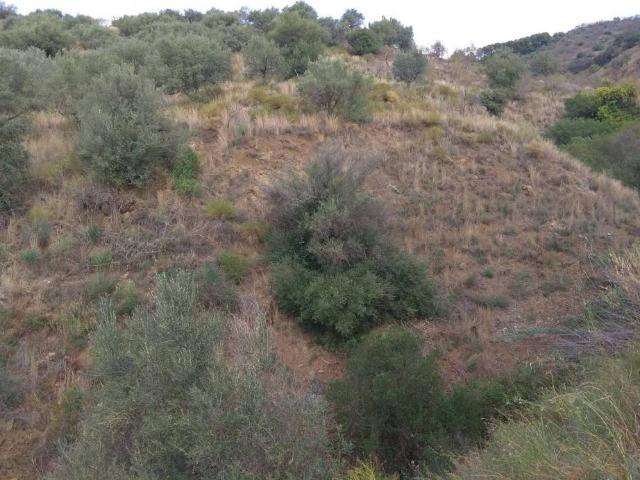 Terreno en venta en Moclinejo