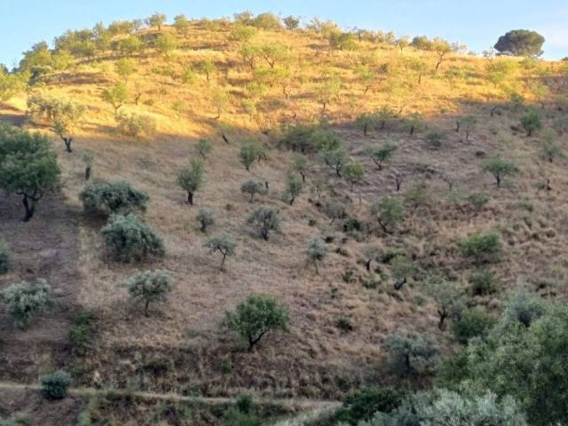 Terreno en venta en La Axarquía, Andalucía