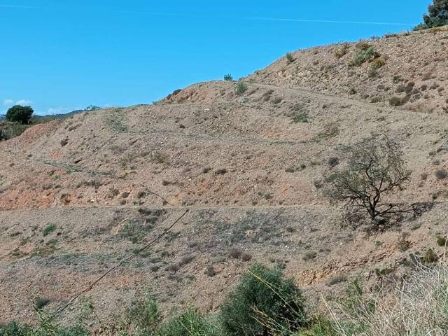 Terreno en venta en Moclinejo