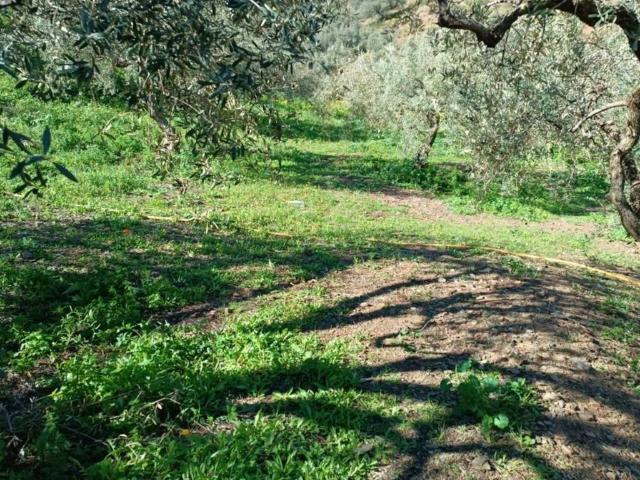 Terreno en venta en La Axarquía, Andalucía