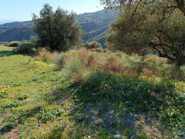Terreno en venta en La Axarquía, Andalucía