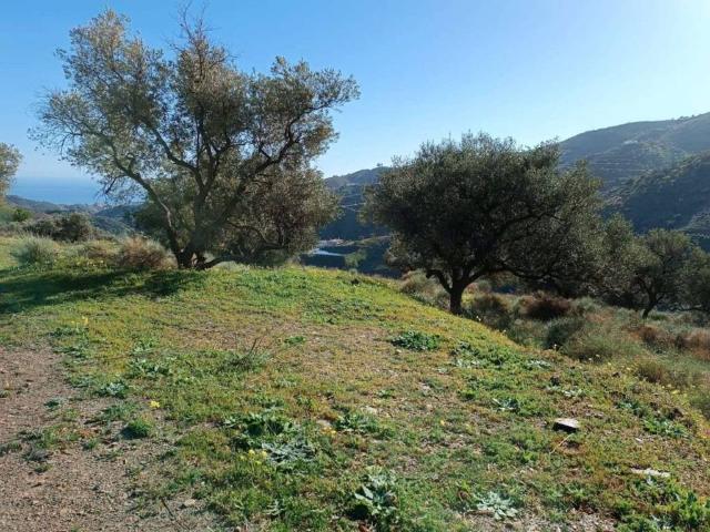 Terreno en venta en La Axarquía, Andalucía
